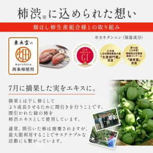 Logic：なぜ「液体」より「固形」なのか？