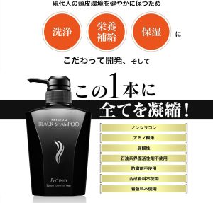 Impact：インパクトだけの「イロモノ」ではない