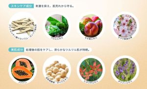 Experience：大人の肌を整えるスキンケア設計