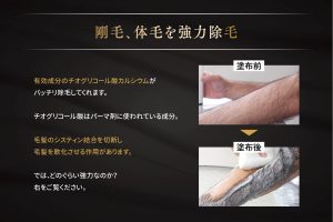 Power：太い毛を徹底分解する「チューニング」の妙
